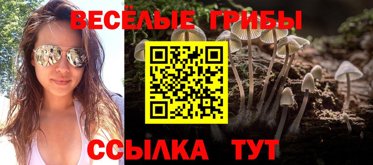 Городец  Галлюциногенные грибы мицелий  Псилоцибиновые грибы Cubensis  Вход с VPN 