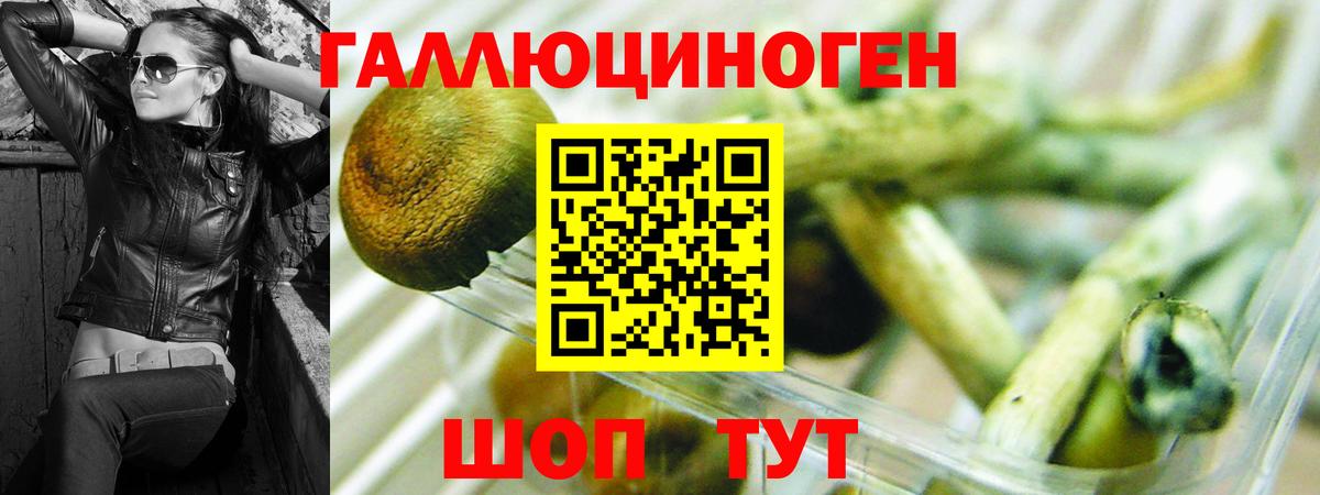 Псилоцибиновые грибы прущие грибы Городец